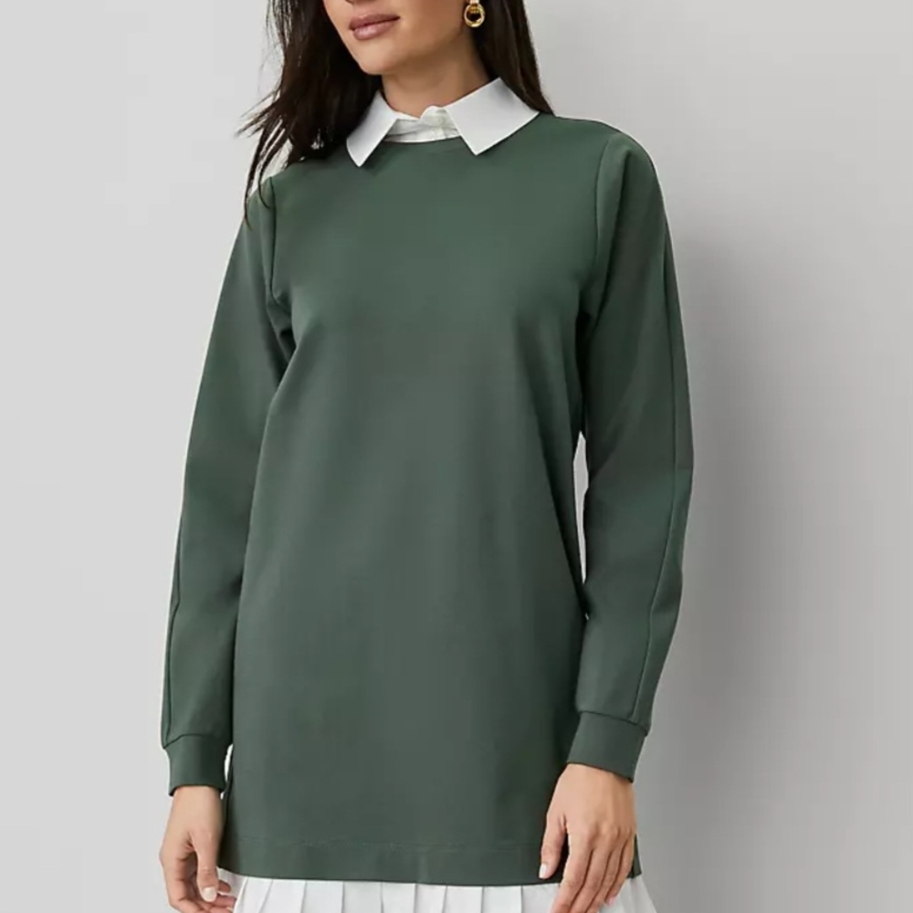 Ann Taylor Ponte Sweatshirt Long Sleeve Dress with White Collar